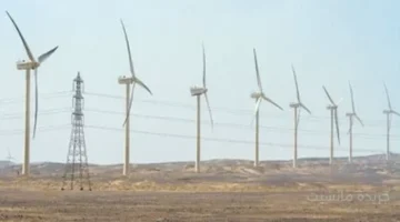 المنتدى الاقتصادي العالمي يرسم خريطة وظائف المستقبل.. كيف سيخلق التحول الأخضر 12 مليون فرصة عمل 1